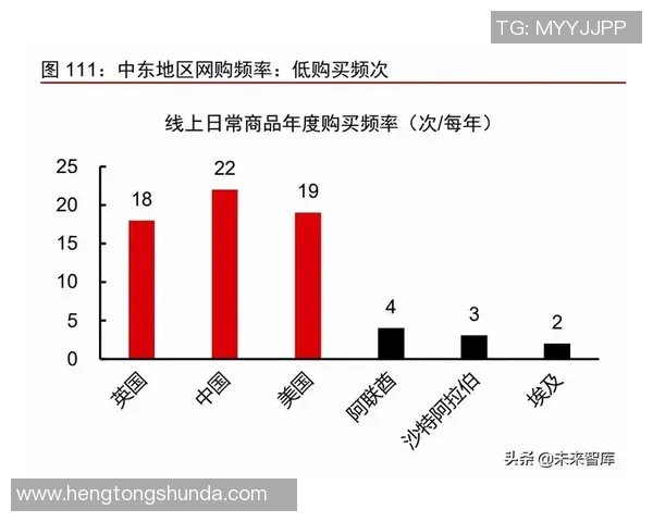 成都排球队实力分析与未来发展潜力的深度探讨